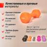 Гантель UNIX FIT неопреновая 2 кг Orange DBNEO2OG